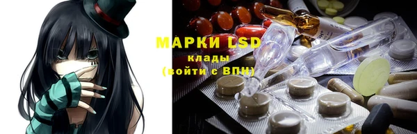 трава Аркадак
