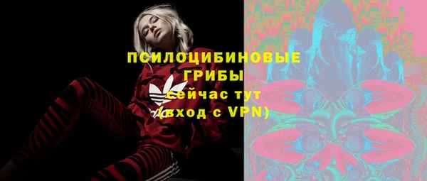 МДПВ Балахна