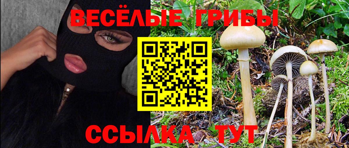 Псилоцибиновые грибы ЛСД  Вход с VPN  Верхняя Салда 